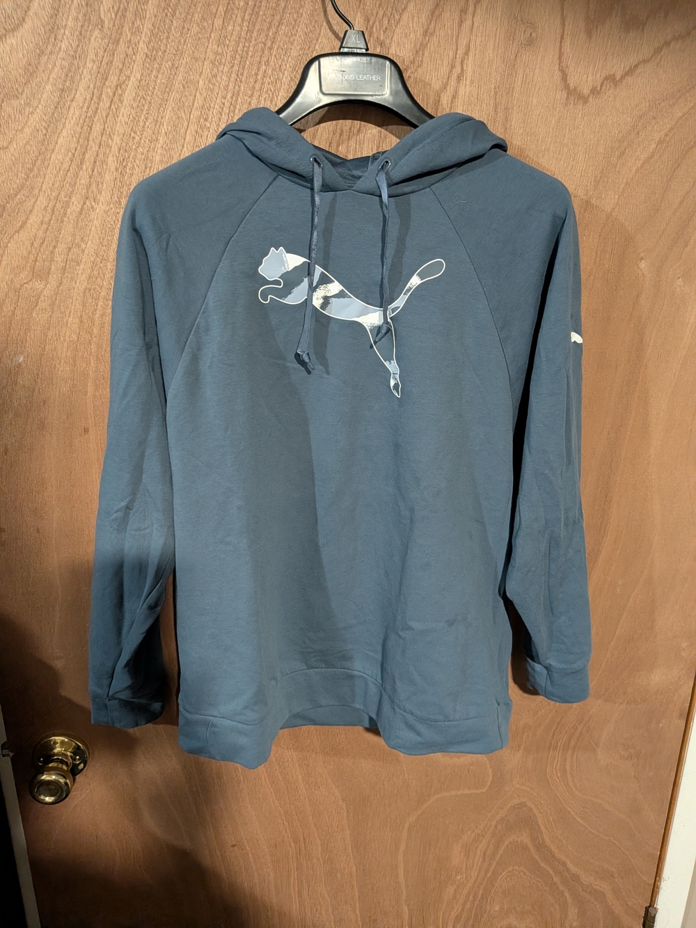 Puma Men's Blue Hooded Sweatshirt